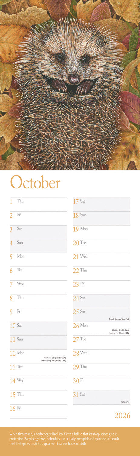 British Wildlife in Art By Robert Fuller Slim Calendar 2026