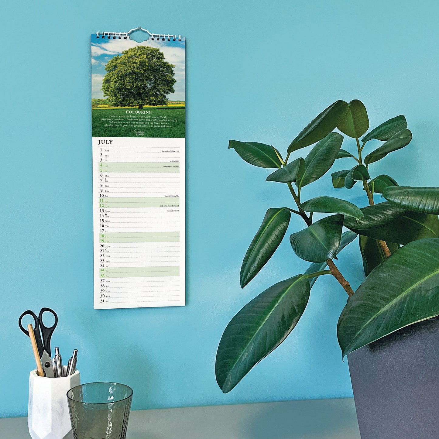 Patience Strong Slim Calendar 2026