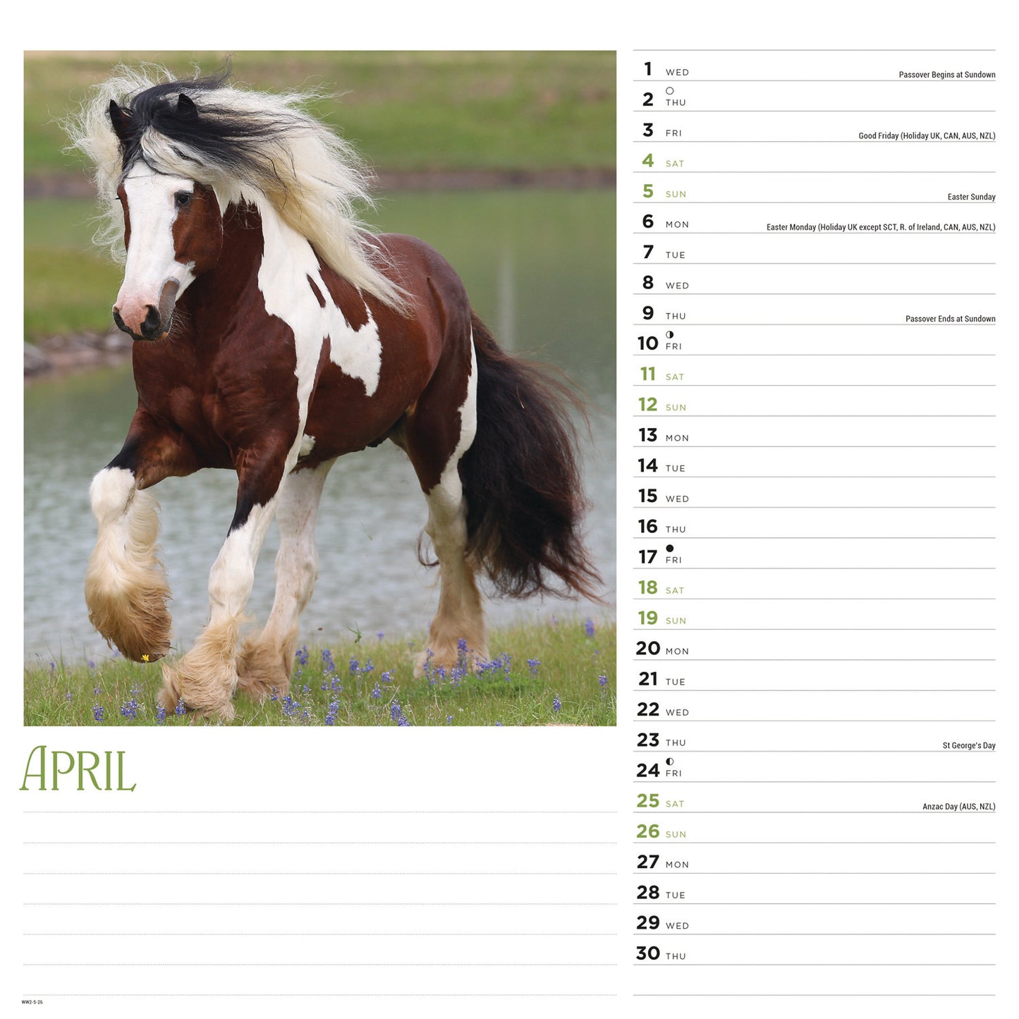 Horses Wiro Wall Calendar 2026