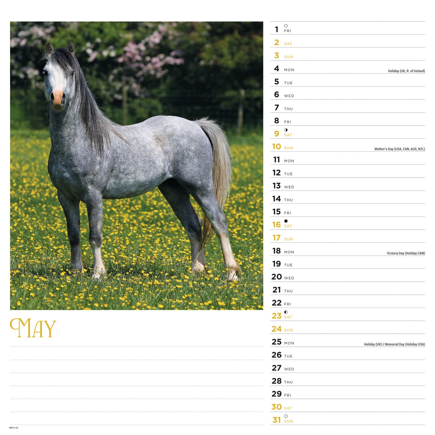Horses Wiro Wall Calendar 2026