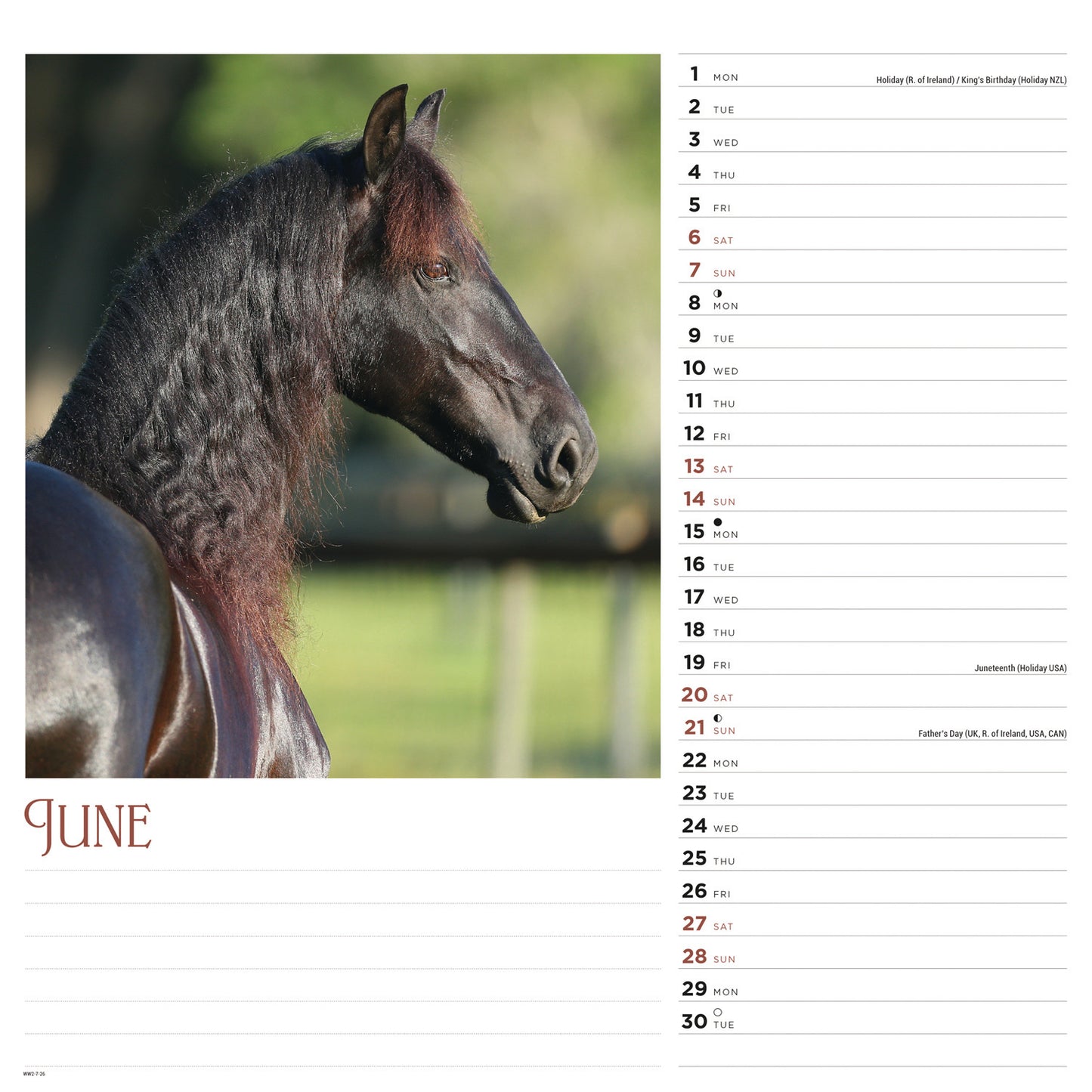 Horses Wiro Wall Calendar 2026