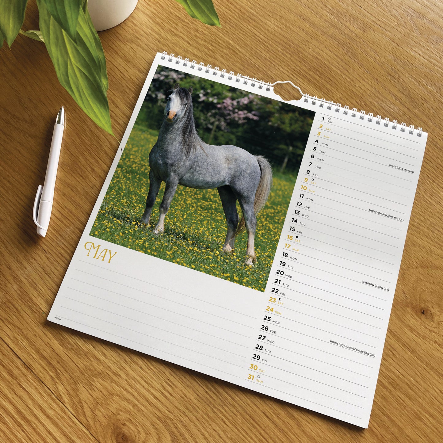 Horses Wiro Wall Calendar 2026