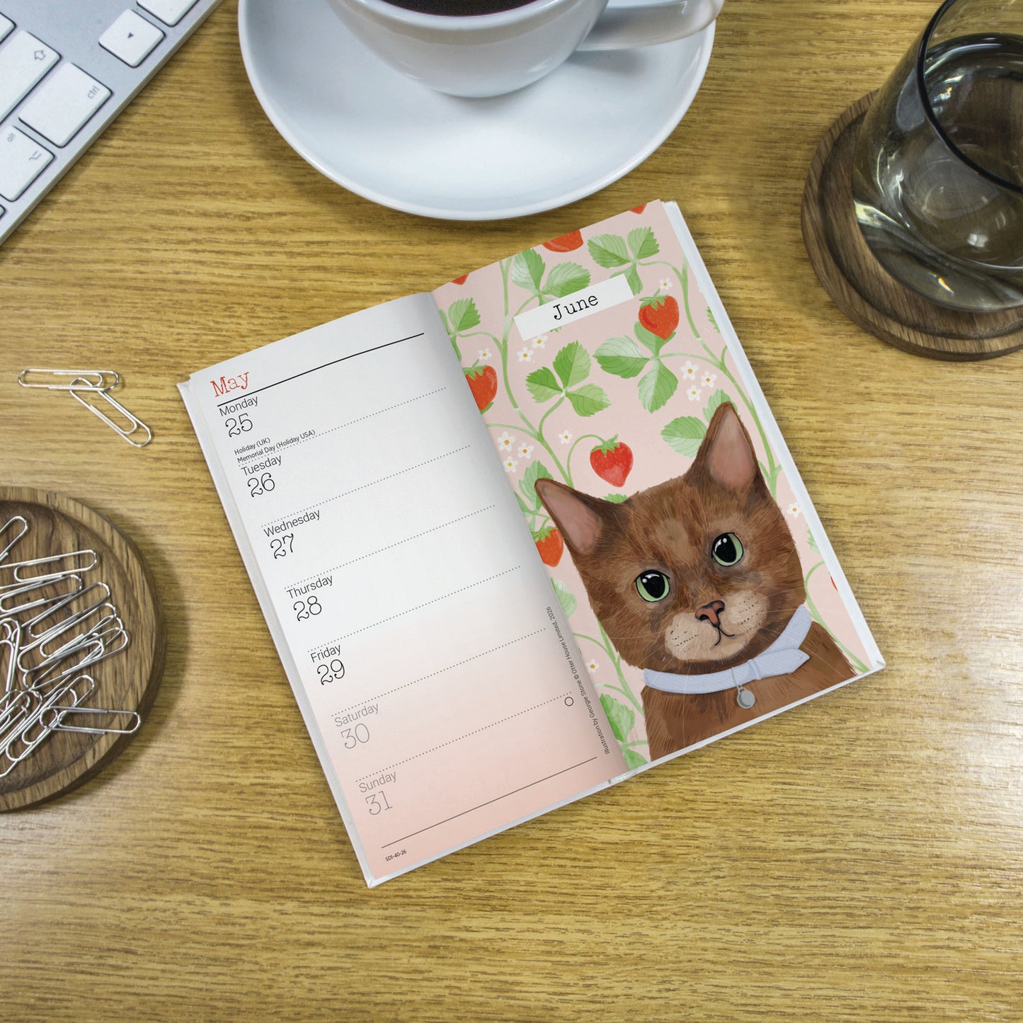 Cats Slim Diary 2026