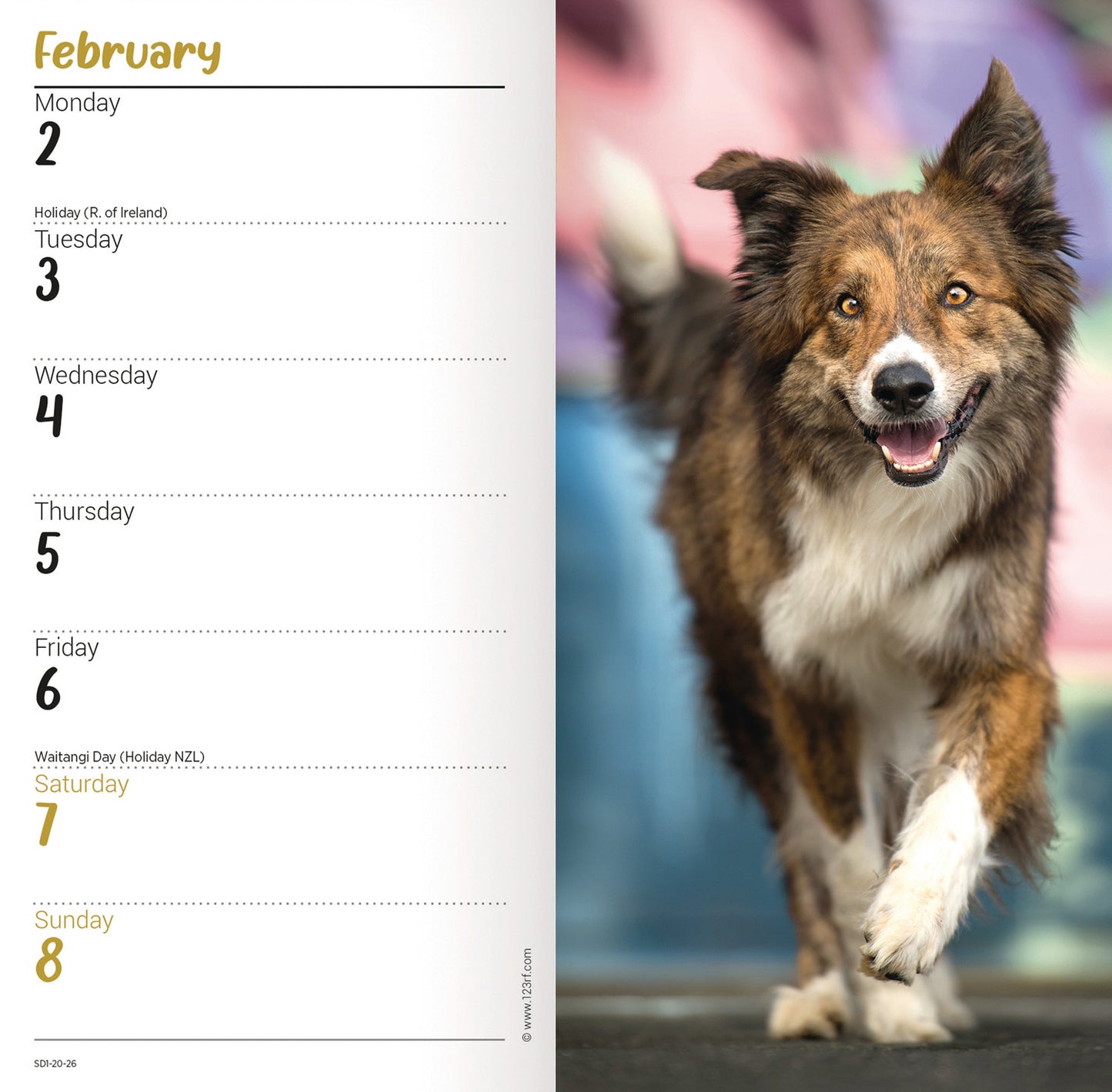 Border Collies Slim Diary 2026