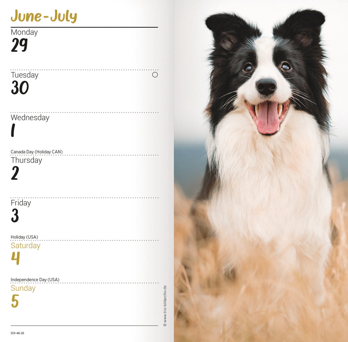 Border Collies Slim Diary 2026