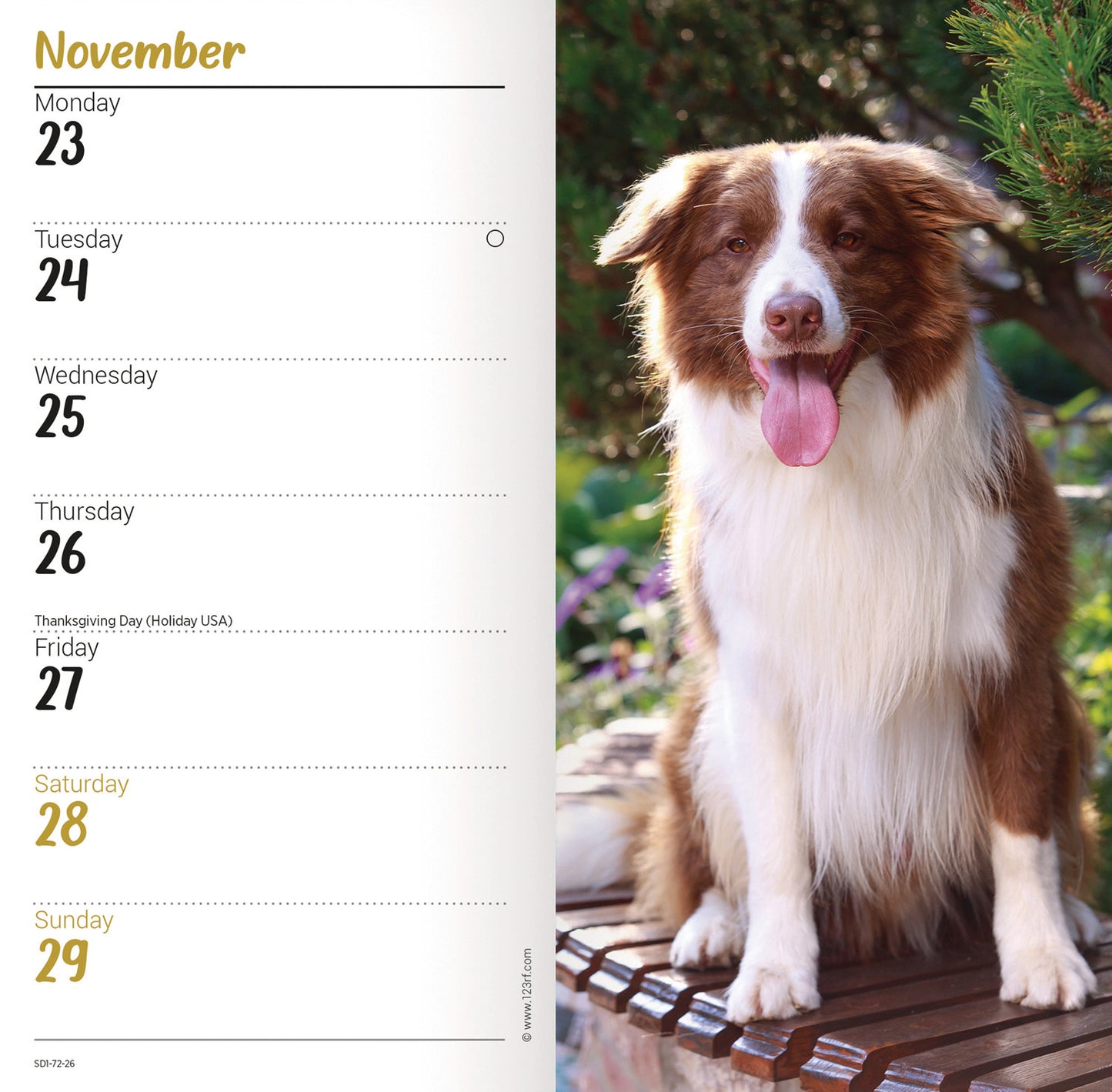 Border Collies Slim Diary 2026