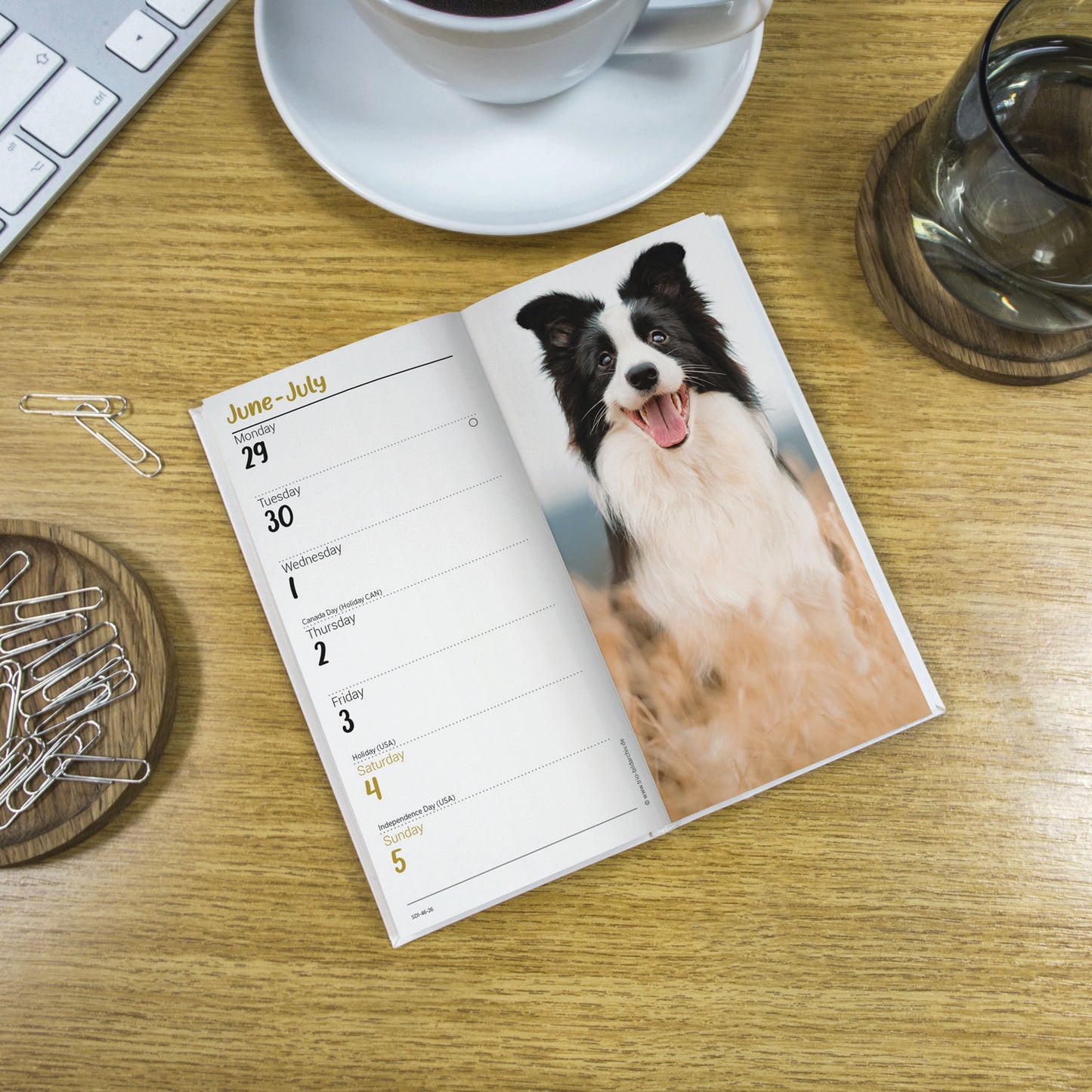 Border Collies Slim Diary 2026