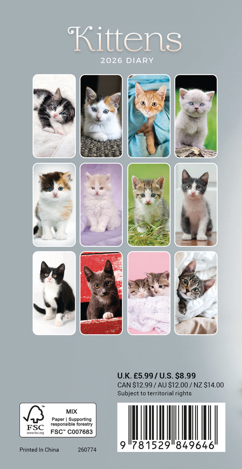 Kittens Slim Diary 2026