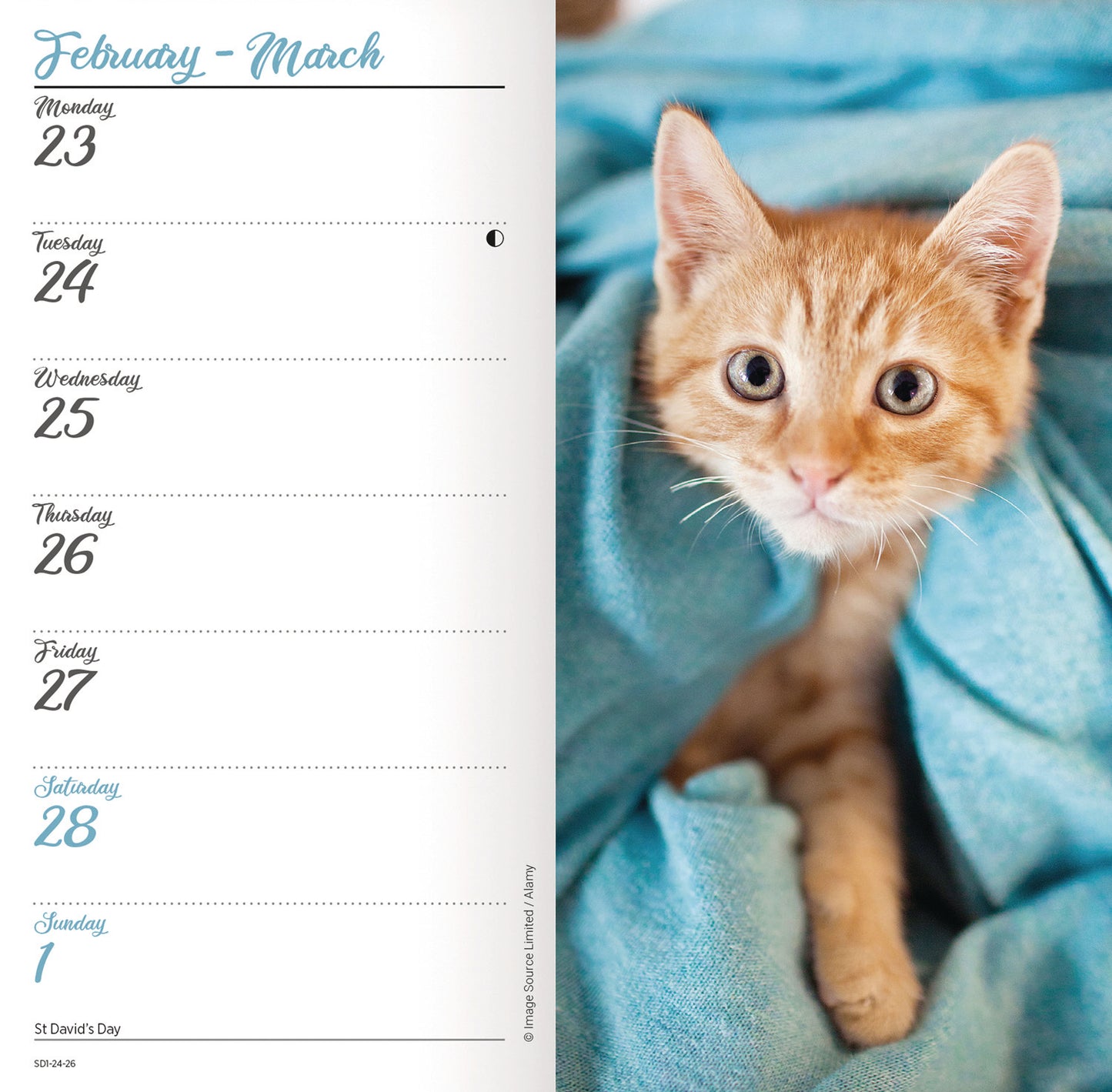 Kittens Slim Diary 2026
