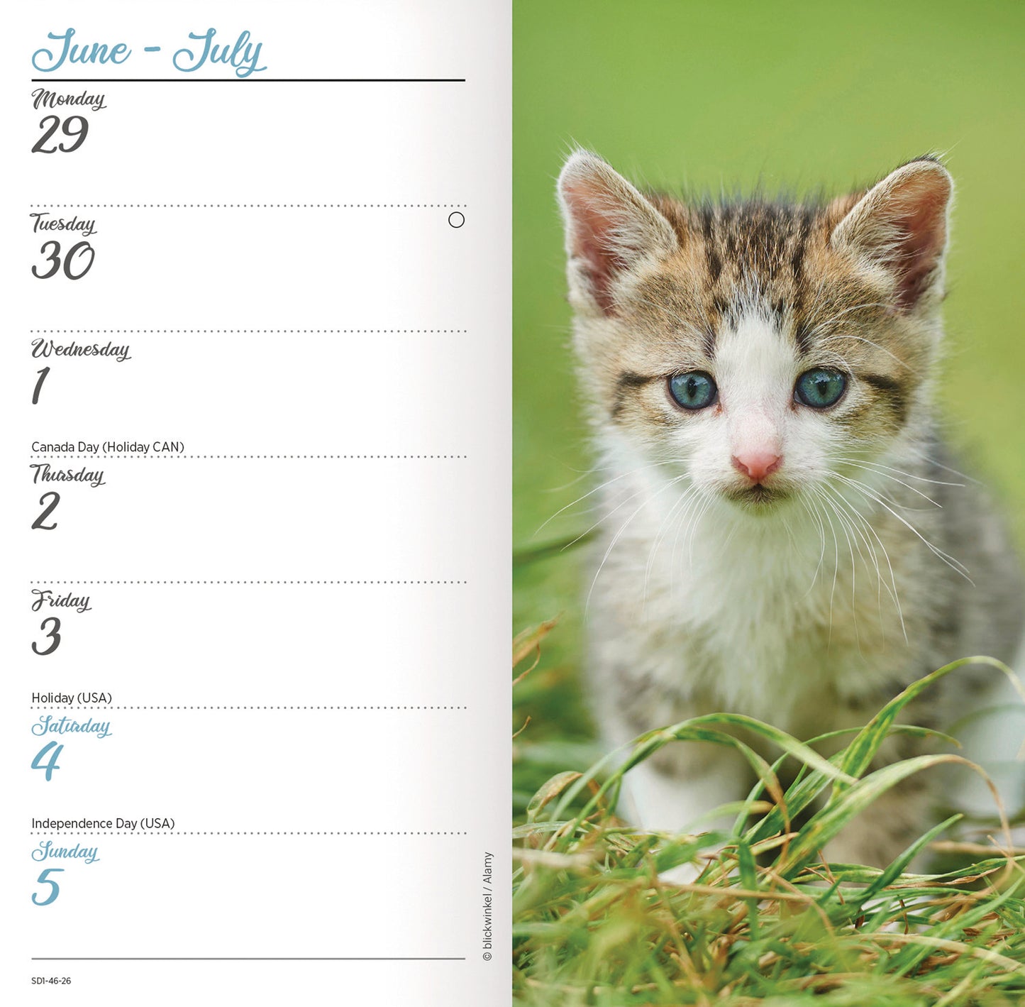 Kittens Slim Diary 2026