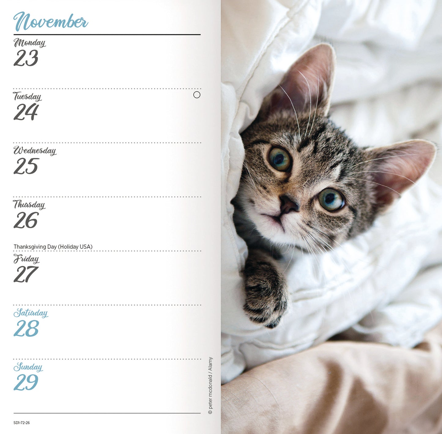 Kittens Slim Diary 2026