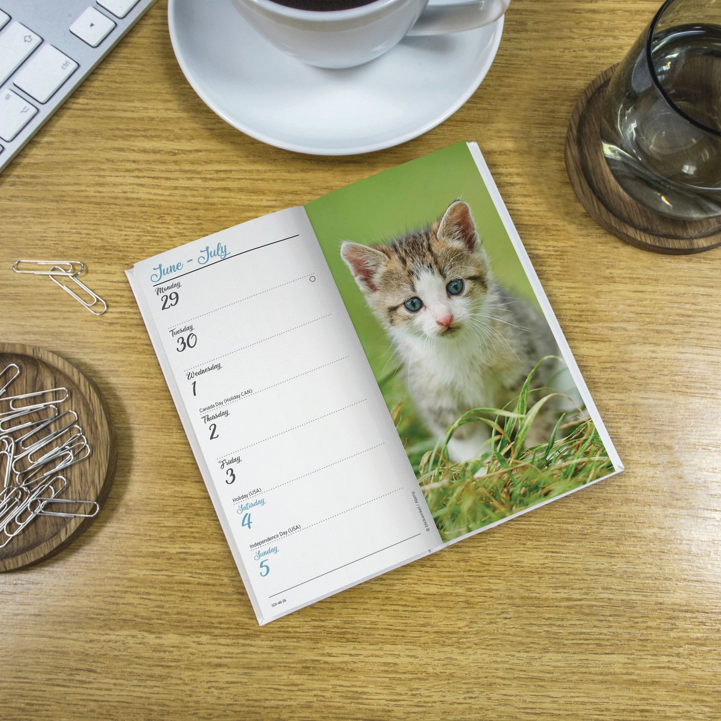 Kittens Slim Diary 2026