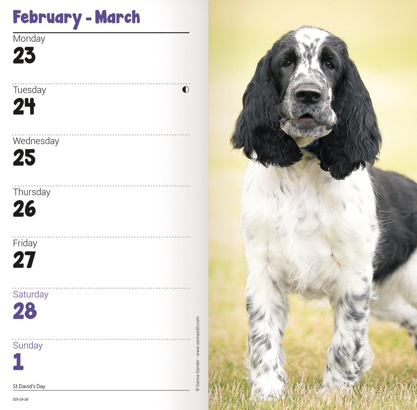 English Springer Spaniels Slim Diary 2026