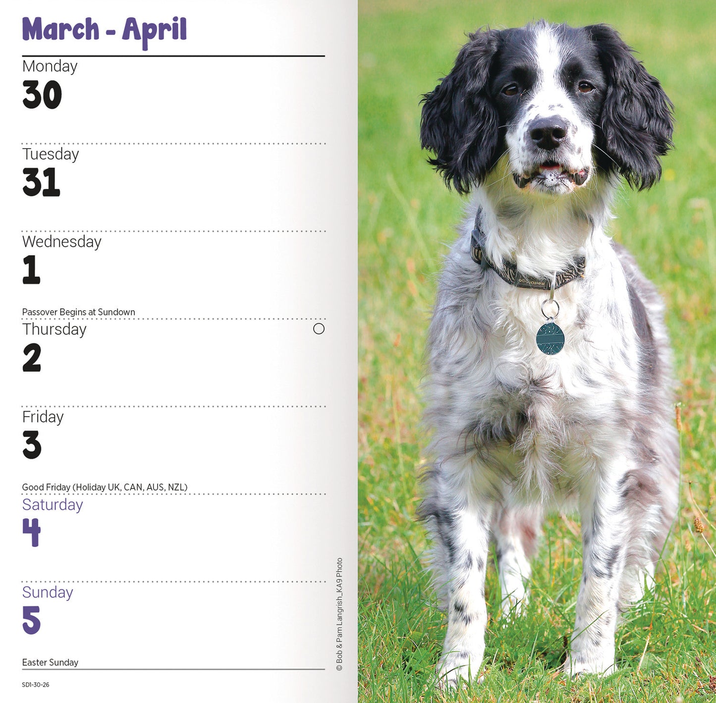 English Springer Spaniels Slim Diary 2026