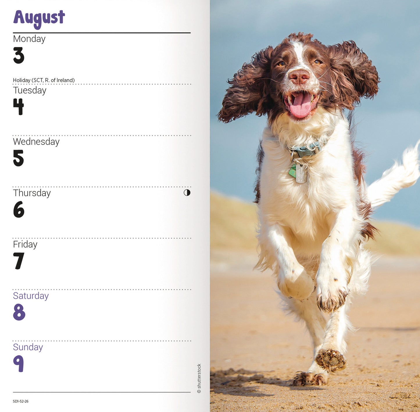 English Springer Spaniels Slim Diary 2026