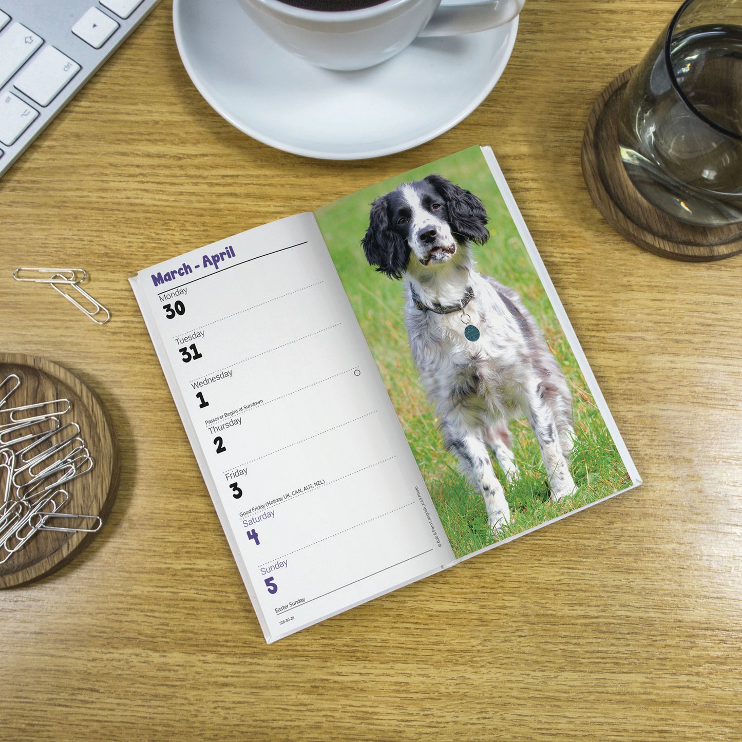 English Springer Spaniels Slim Diary 2026