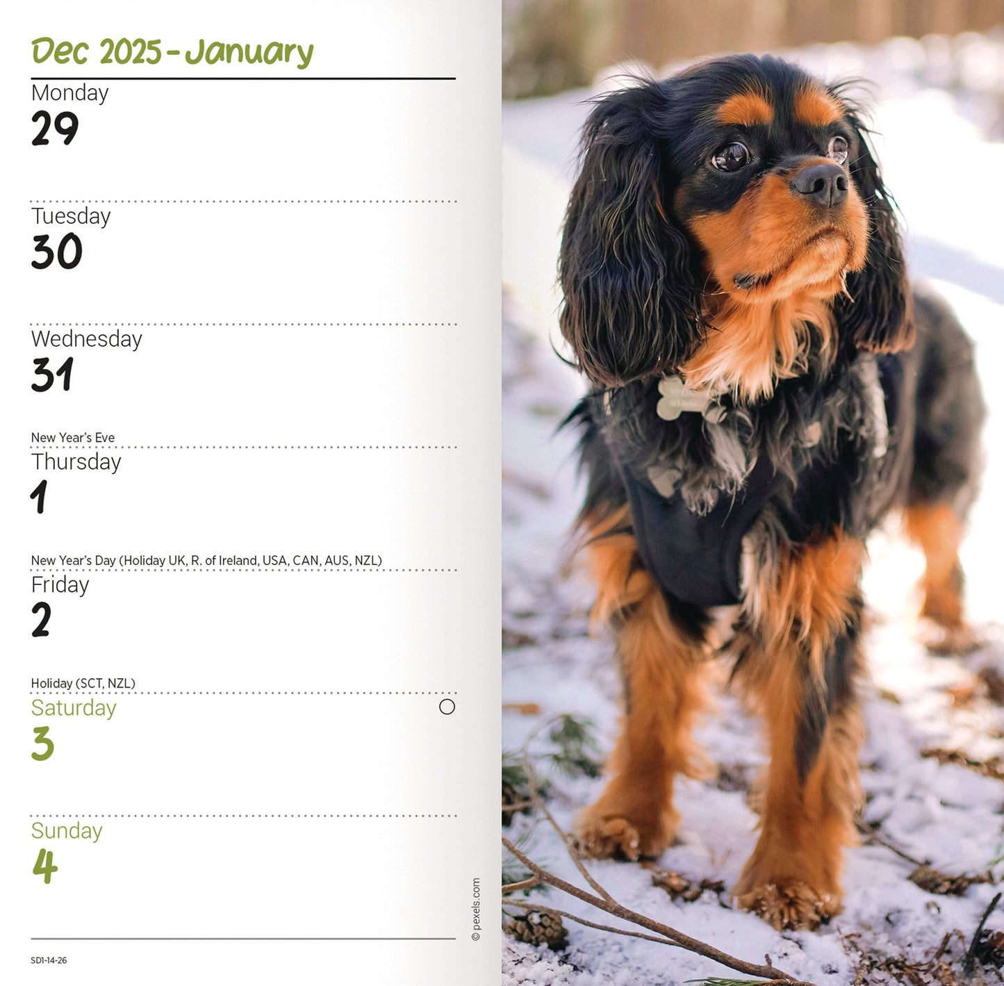 Cavalier King Charles Spaniels Slim Diary 2026