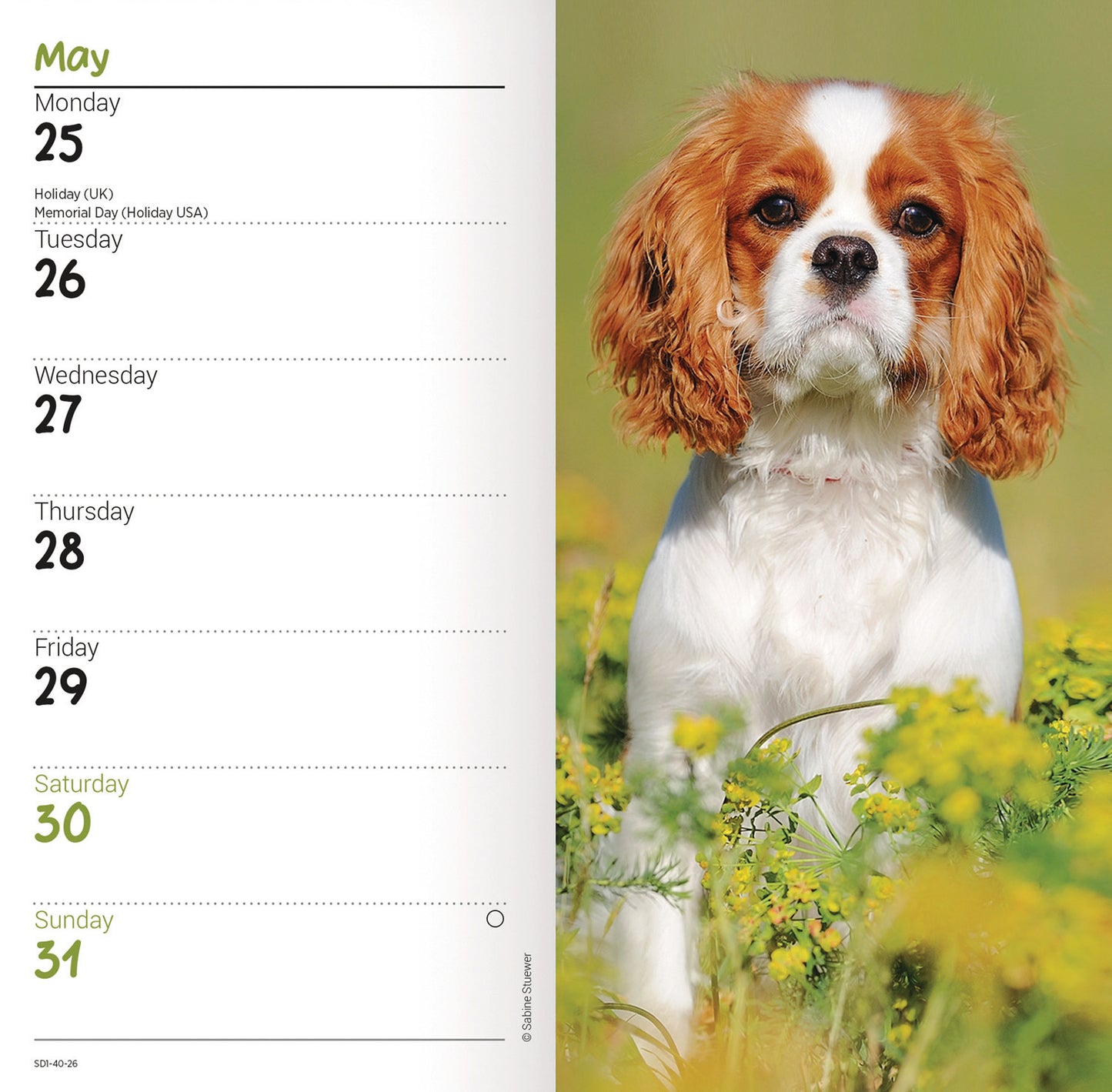 Cavalier King Charles Spaniels Slim Diary 2026