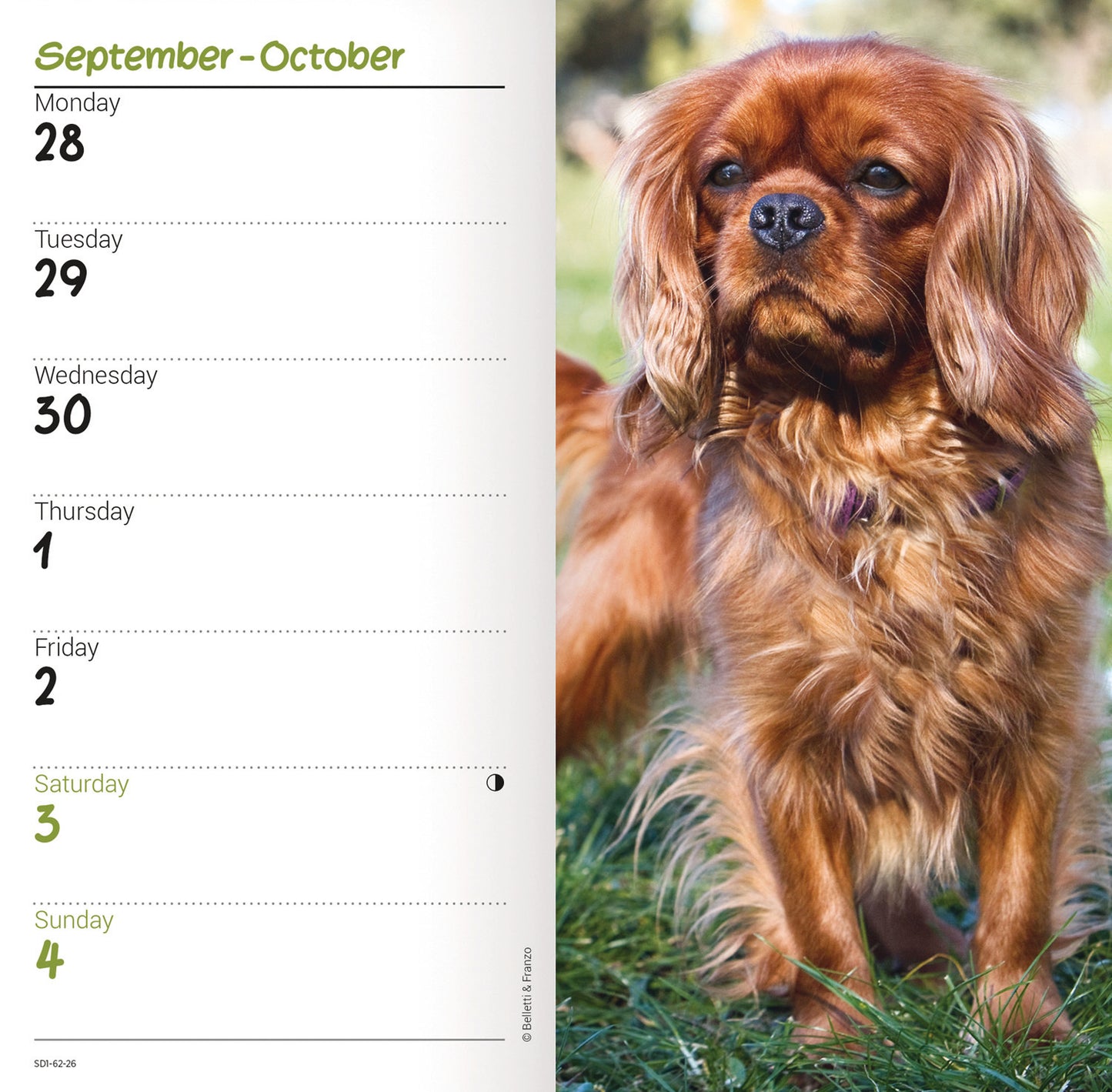 Cavalier King Charles Spaniels Slim Diary 2026