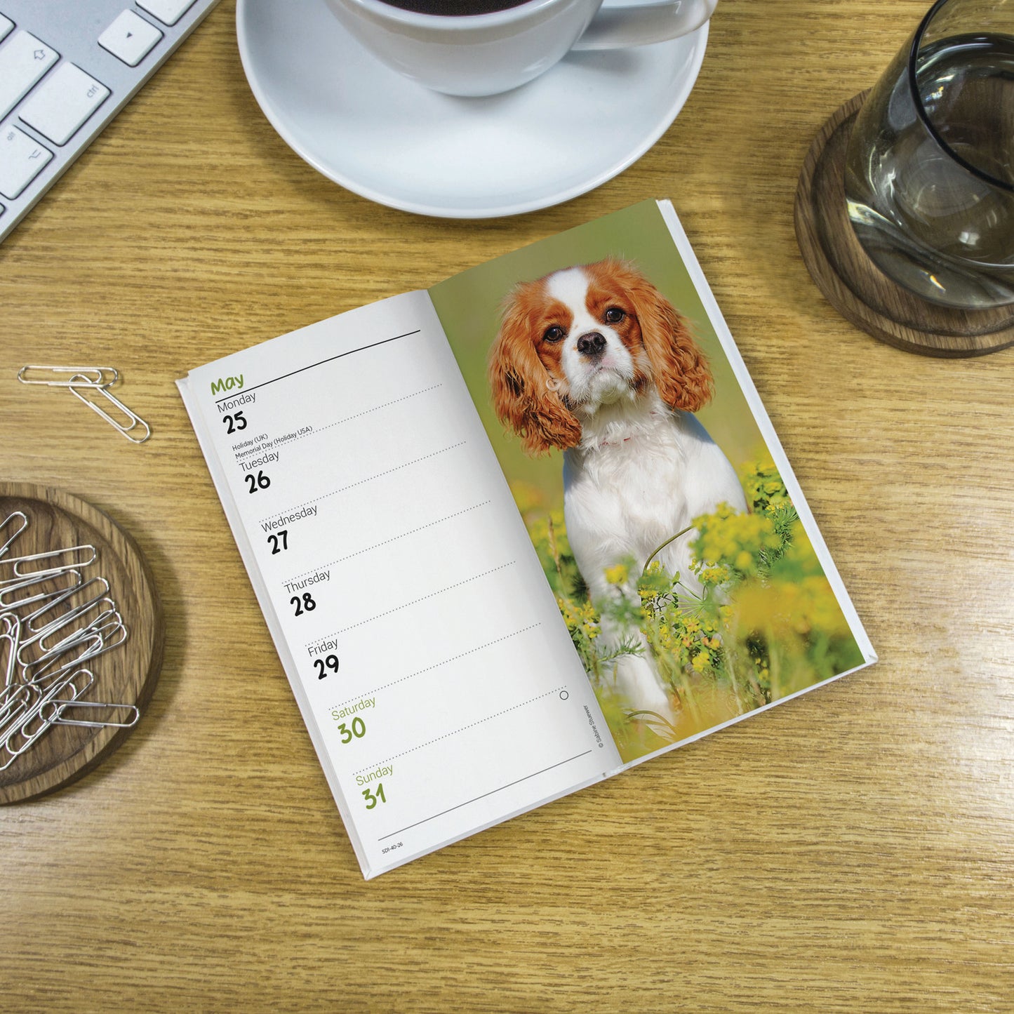 Cavalier King Charles Spaniels Slim Diary 2026