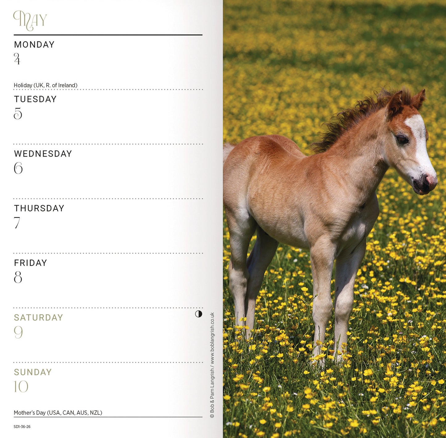 Horses Slim Diary 2026