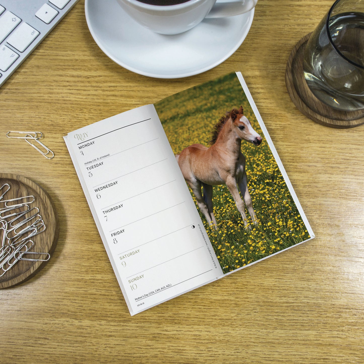 Horses Slim Diary 2026