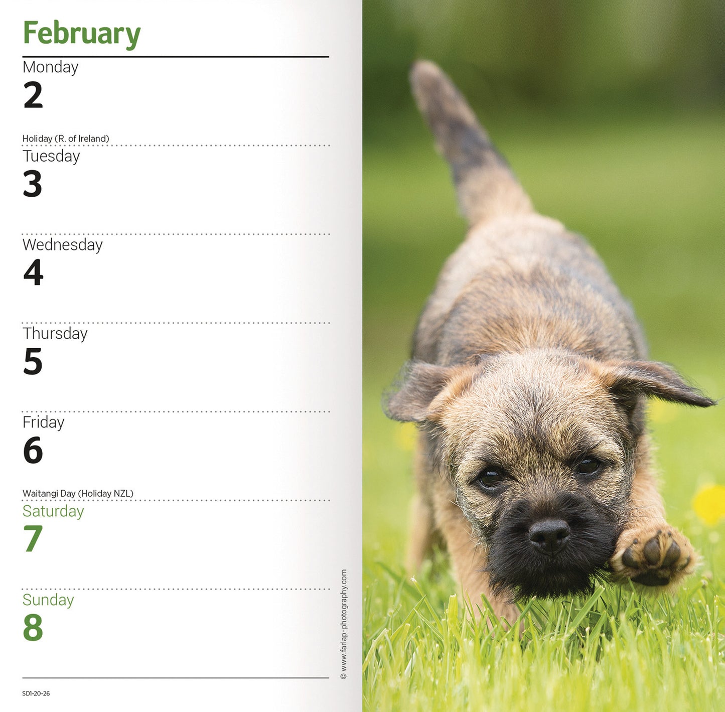 Border Terriers Slim Diary 2026