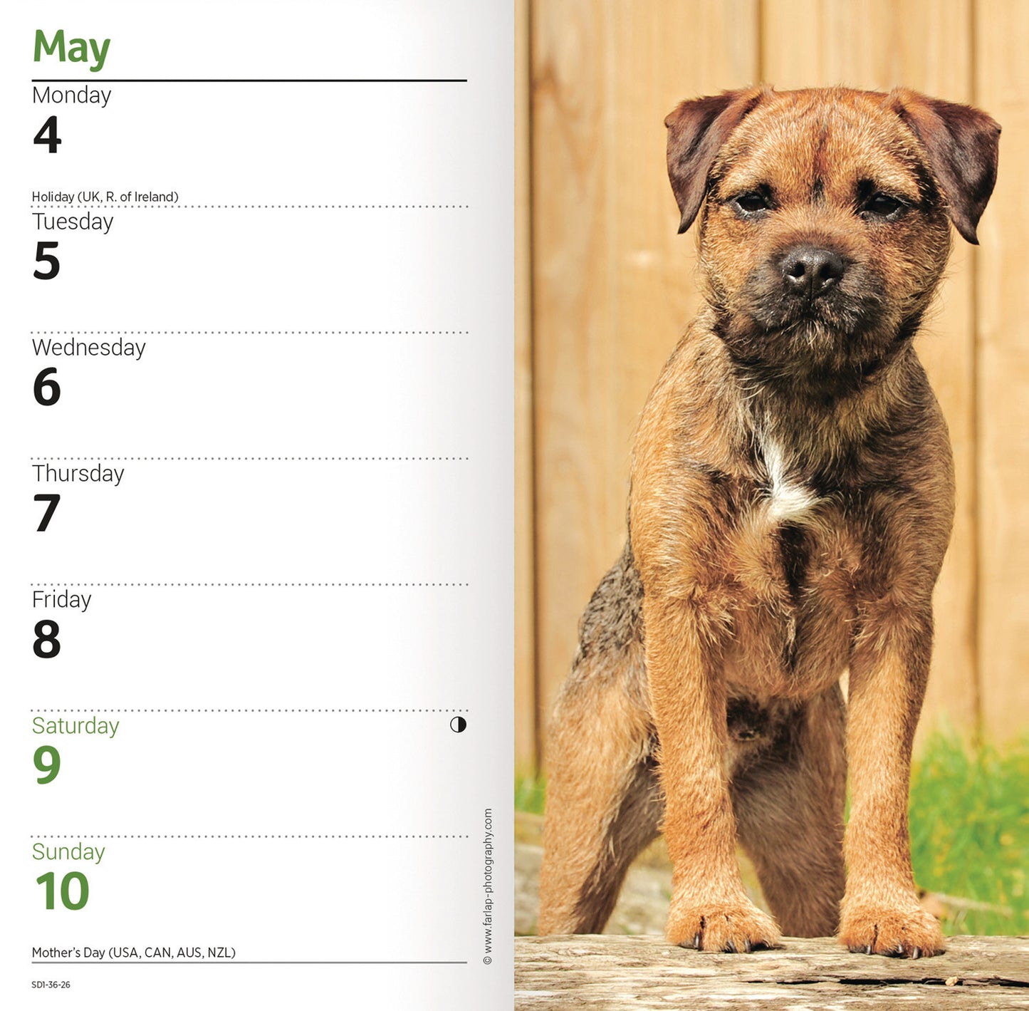 Border Terriers Slim Diary 2026