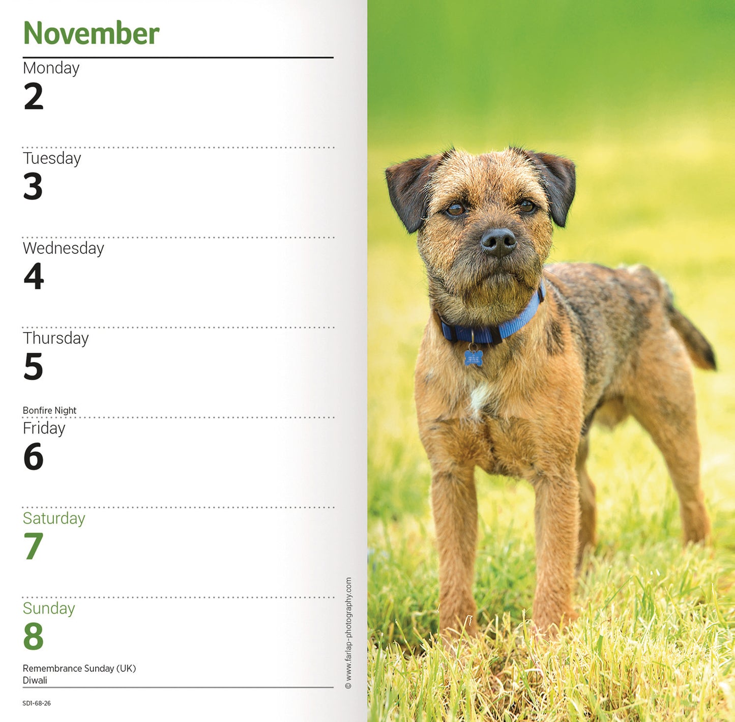 Border Terriers Slim Diary 2026