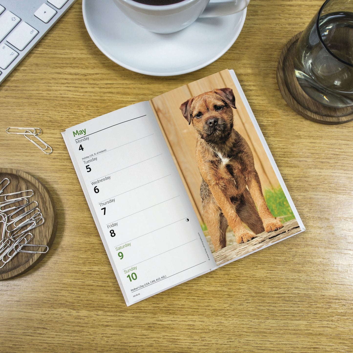 Border Terriers Slim Diary 2026