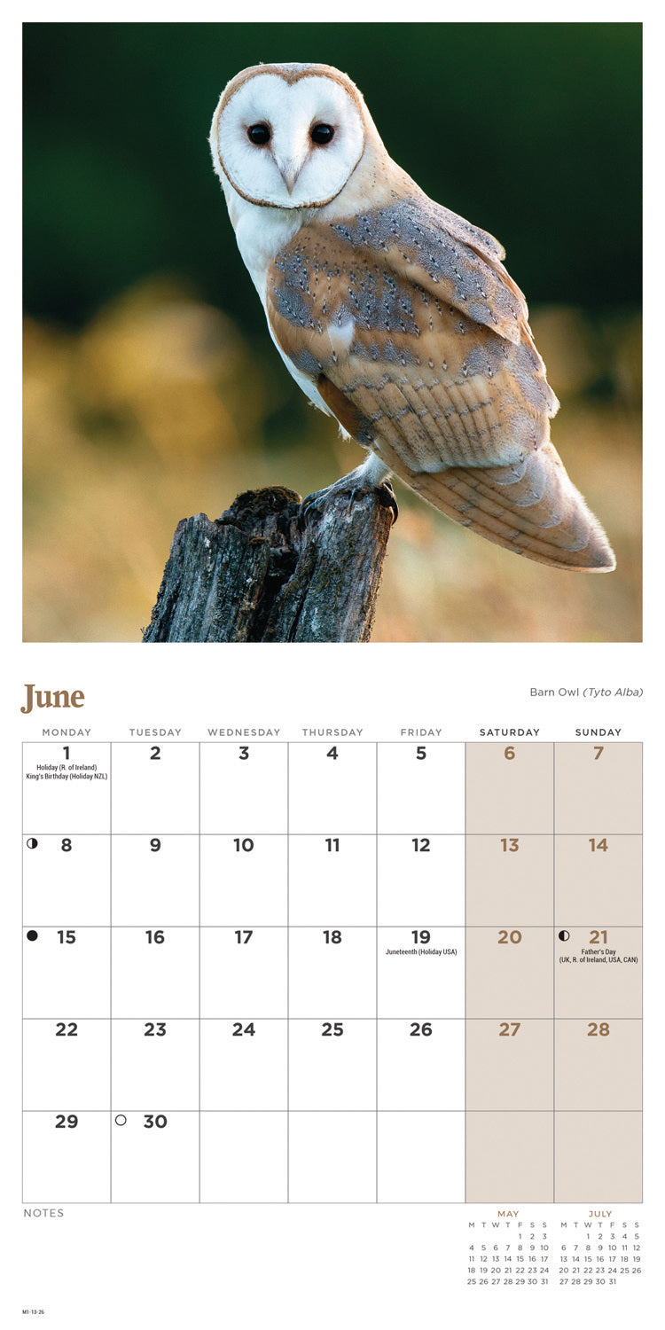 Owls Mini Calendar 2026
