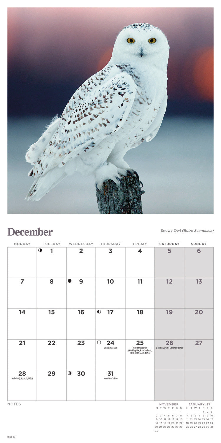 Owls Mini Calendar 2026