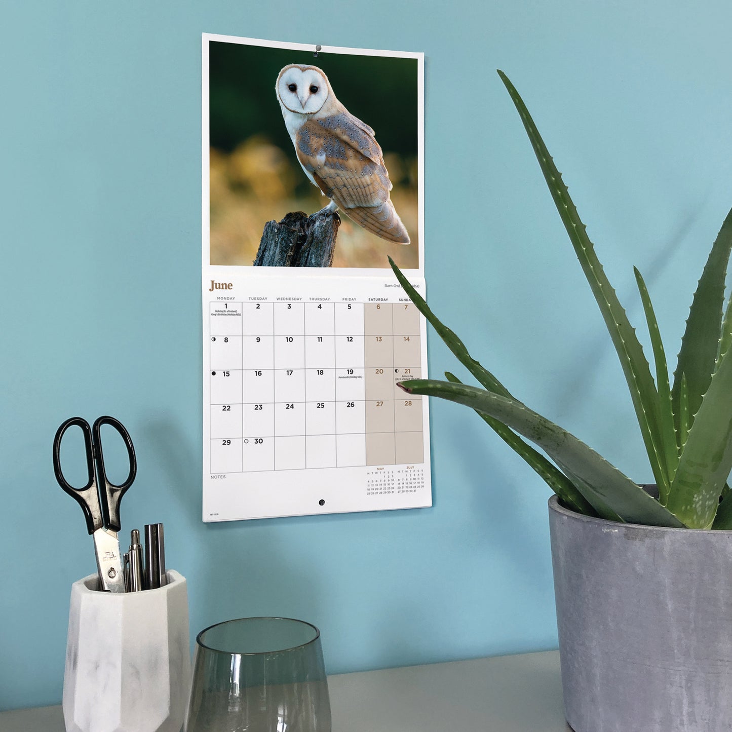 Owls Mini Calendar 2026