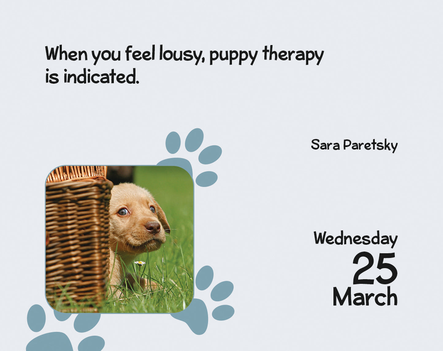 Puppies Mini Box Calendar 2026