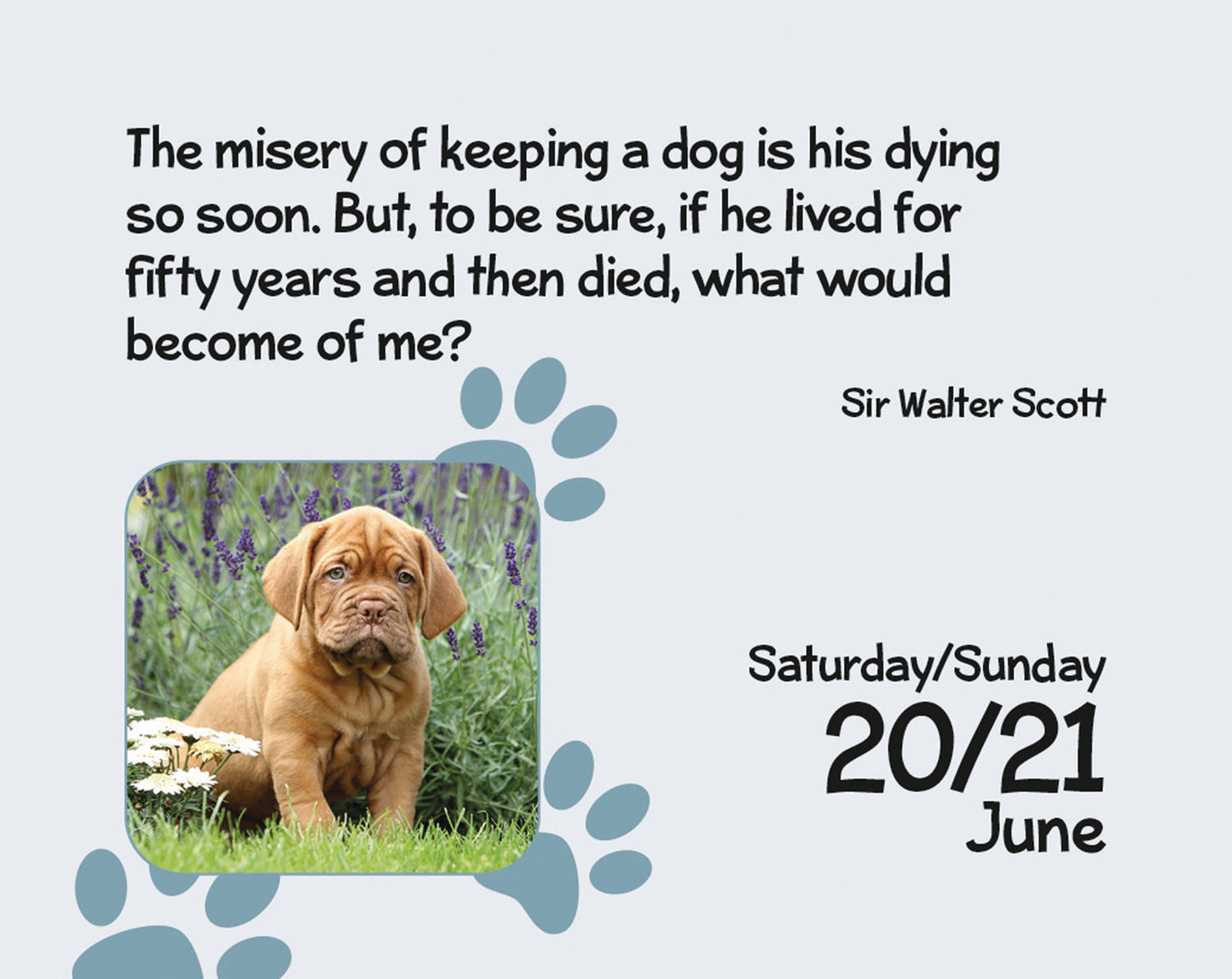 Puppies Mini Box Calendar 2026