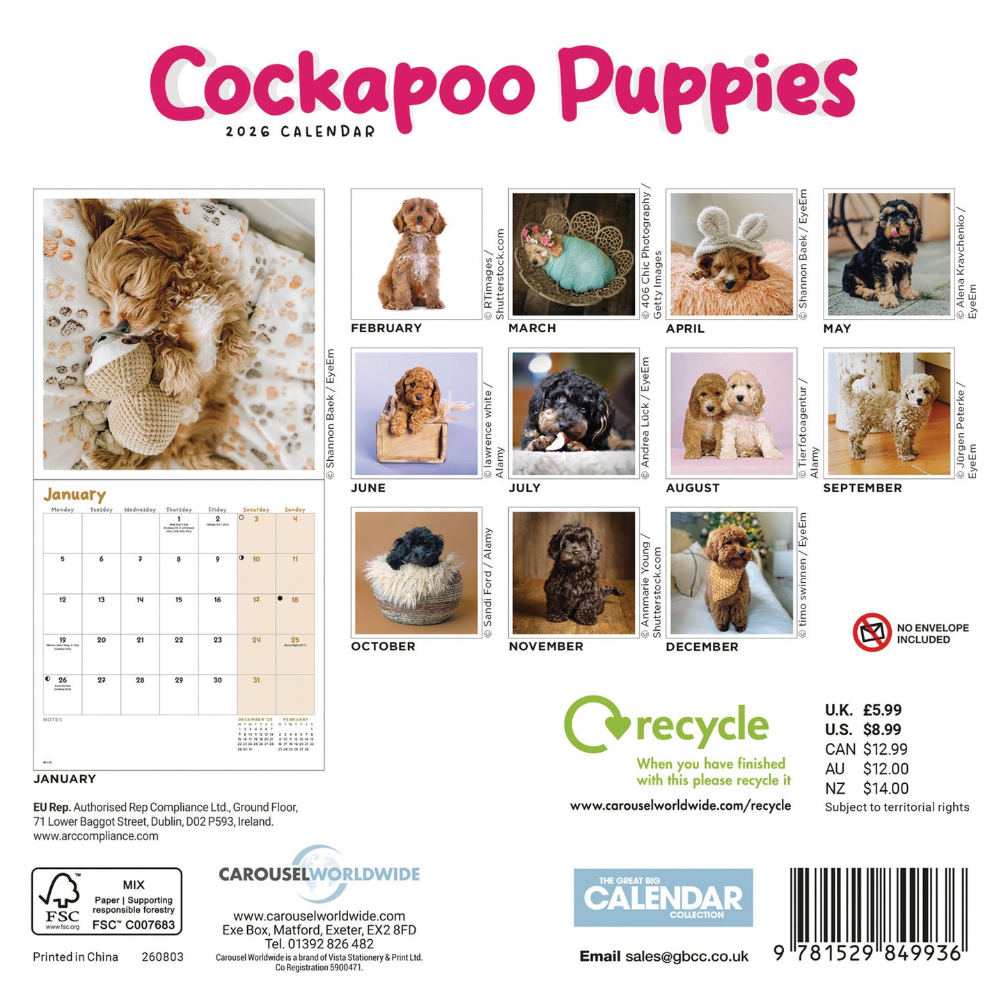 Cockapoo Puppies Mini Calendar 2026