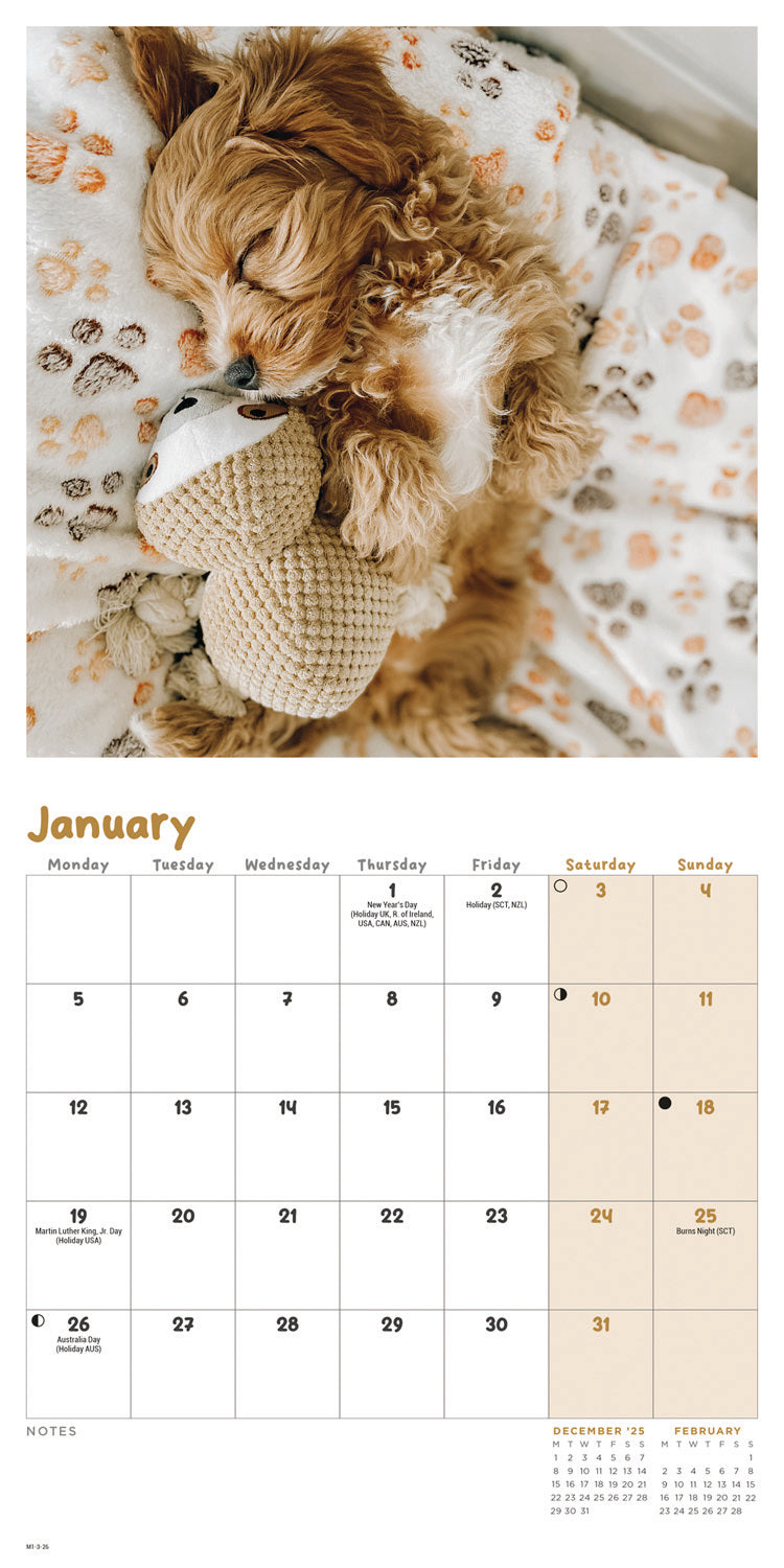 Cockapoo Puppies Mini Calendar 2026