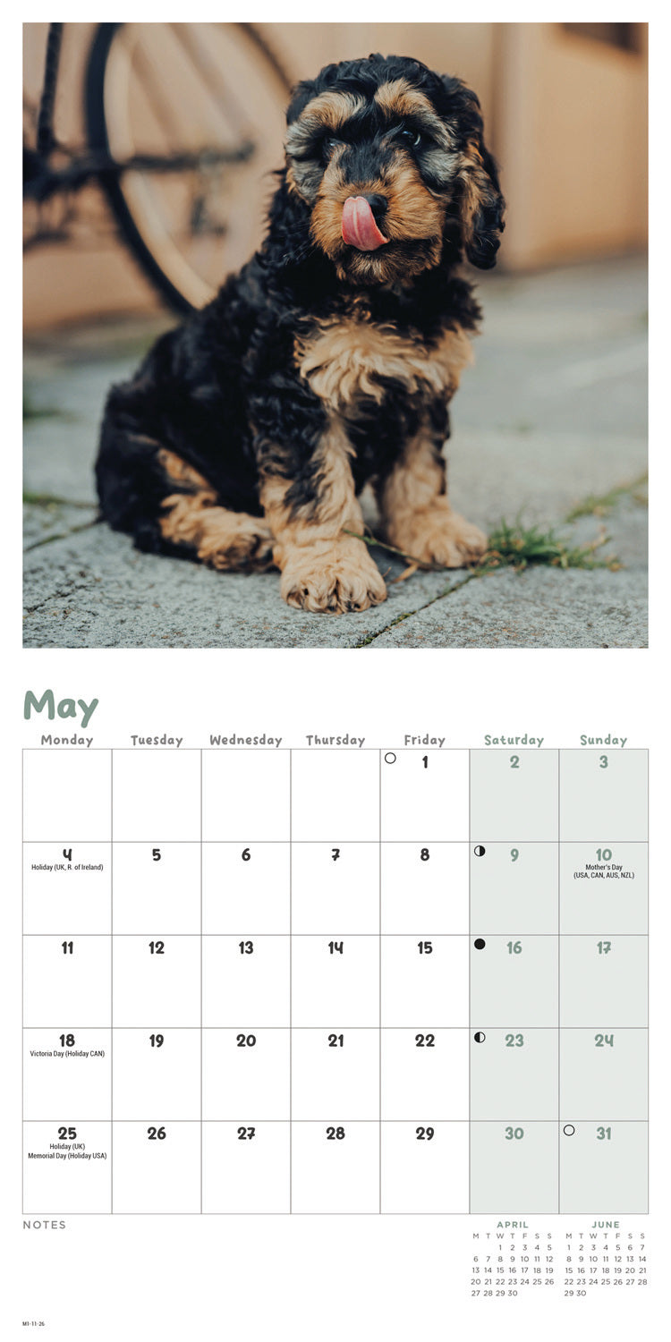 Cockapoo Puppies Mini Calendar 2026