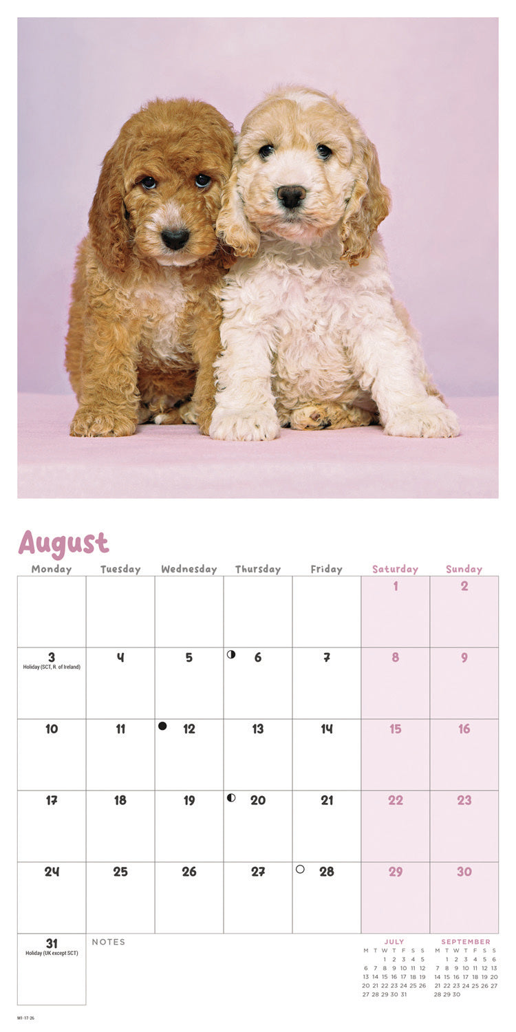 Cockapoo Puppies Mini Calendar 2026