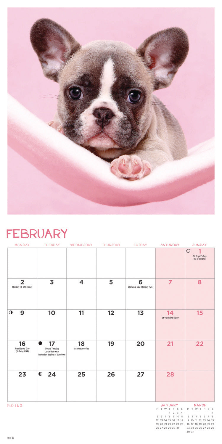 French Bulldogs Mini Calendar 2026