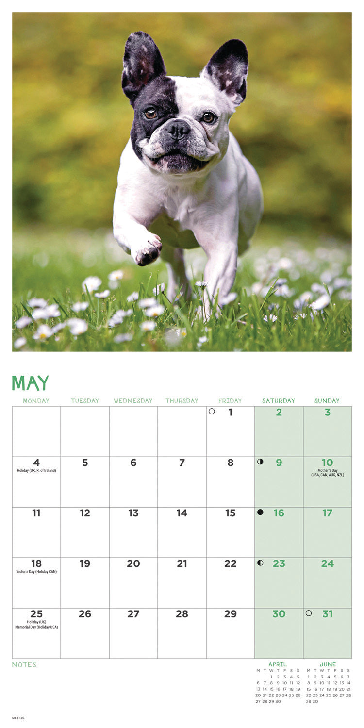 French Bulldogs Mini Calendar 2026