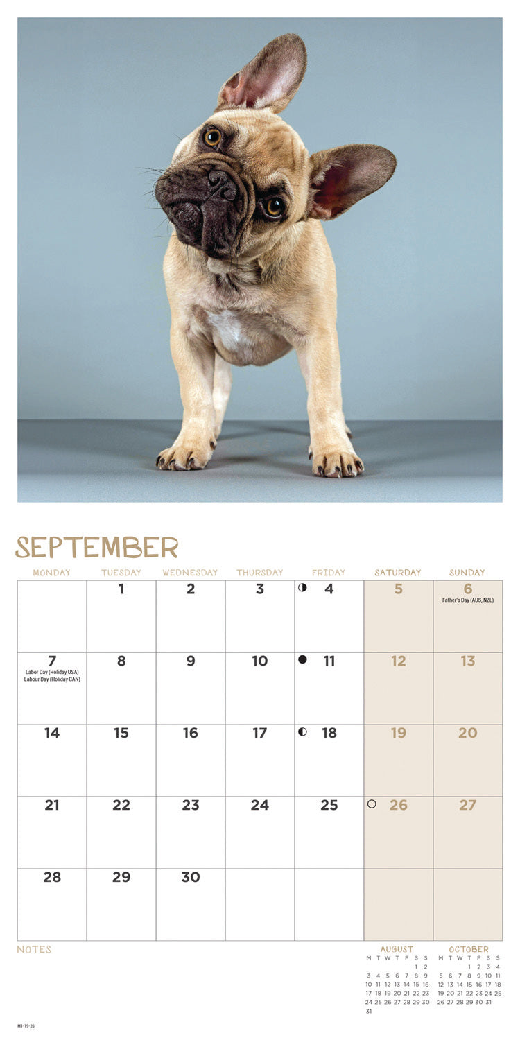 French Bulldogs Mini Calendar 2026