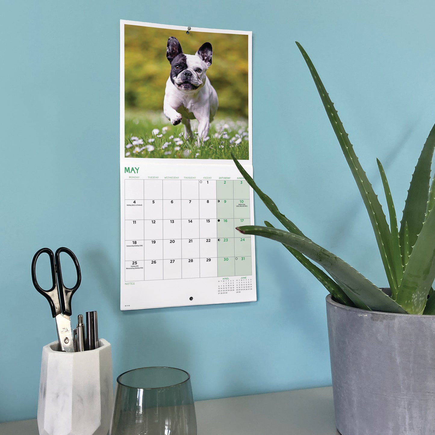 French Bulldogs Mini Calendar 2026