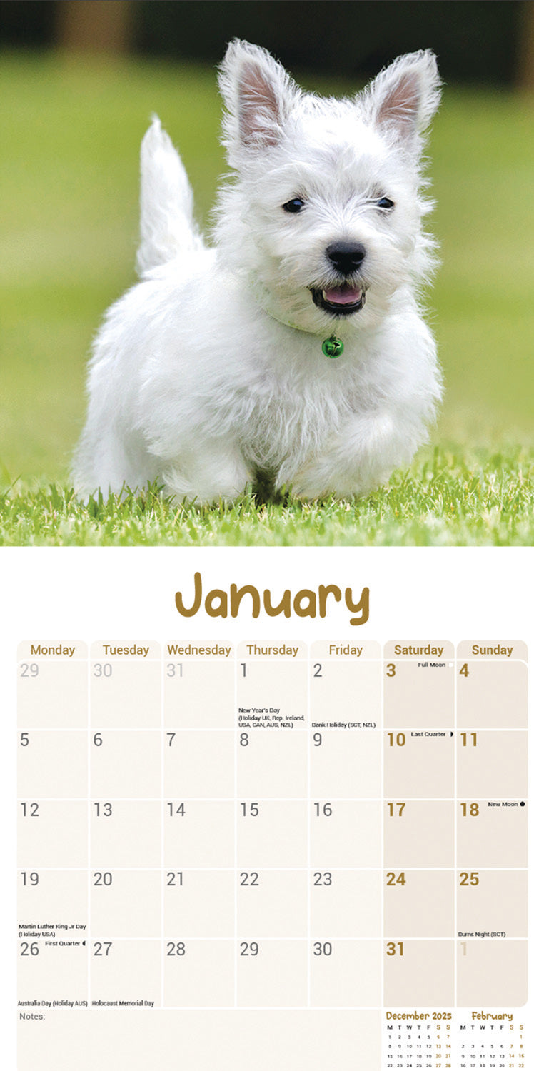 West Highland White Terrier Puppies Mini Calendar 2026