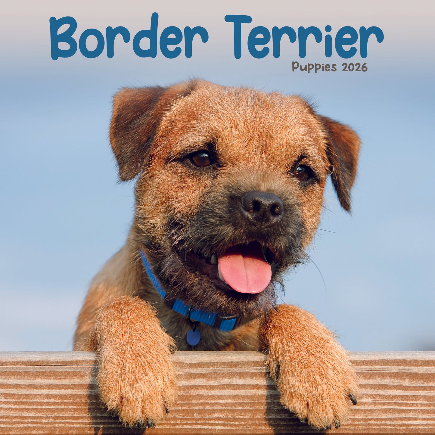 Border Terrier Puppies Mini Calendar 2026