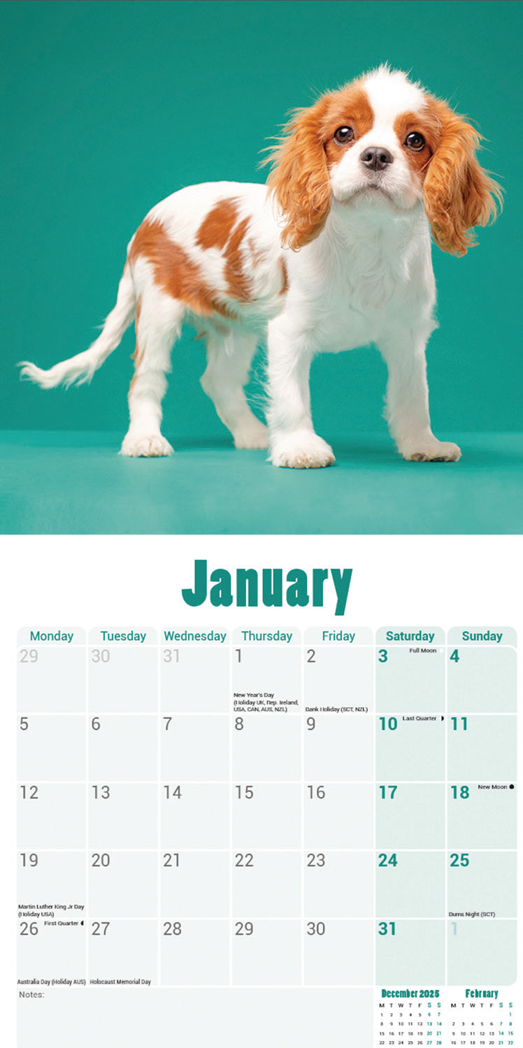 Cavalier King Charles Spaniel Puppies Mini Calendar 2026