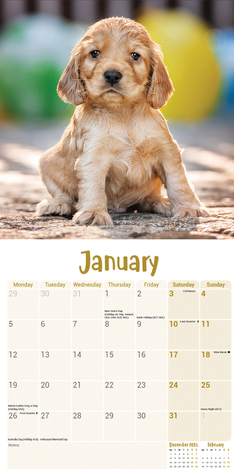 English Cocker Spaniel Puppies Mini Calendar 2026
