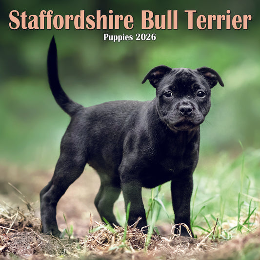 Staffordshire Bull Terrier Puppies Mini Calendar 2026