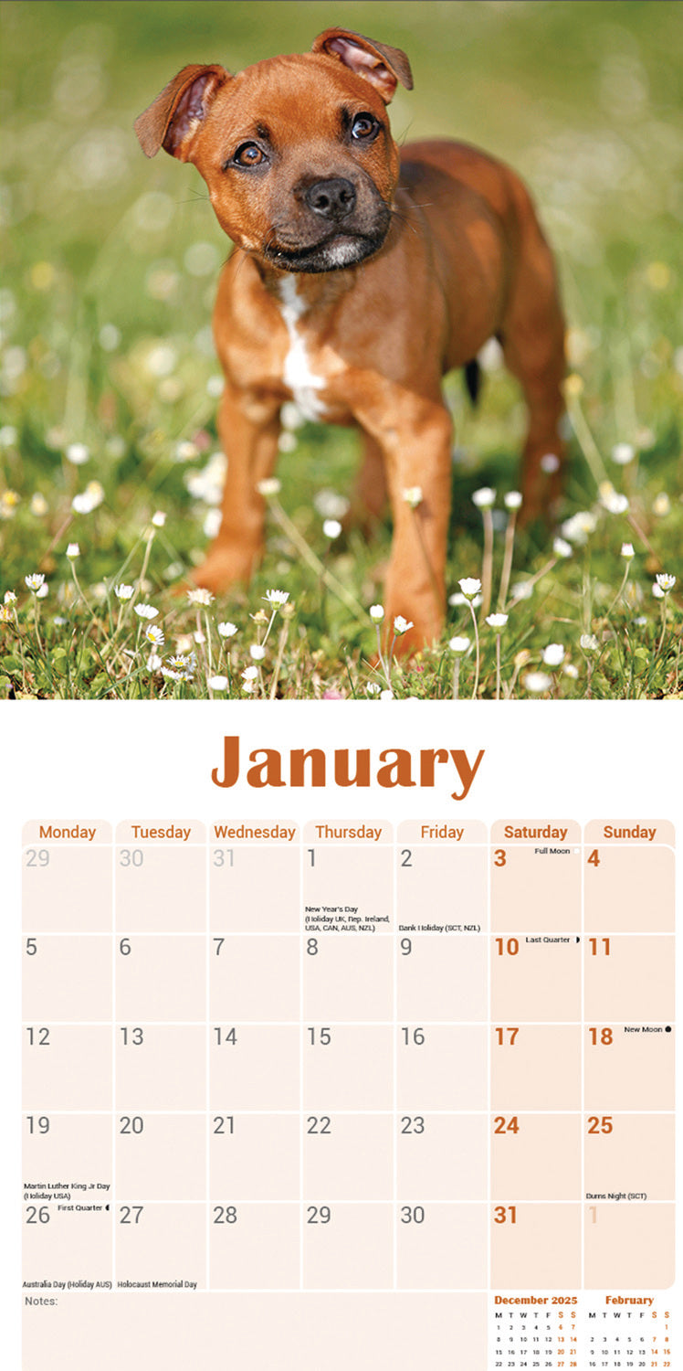 Staffordshire Bull Terrier Puppies Mini Calendar 2026