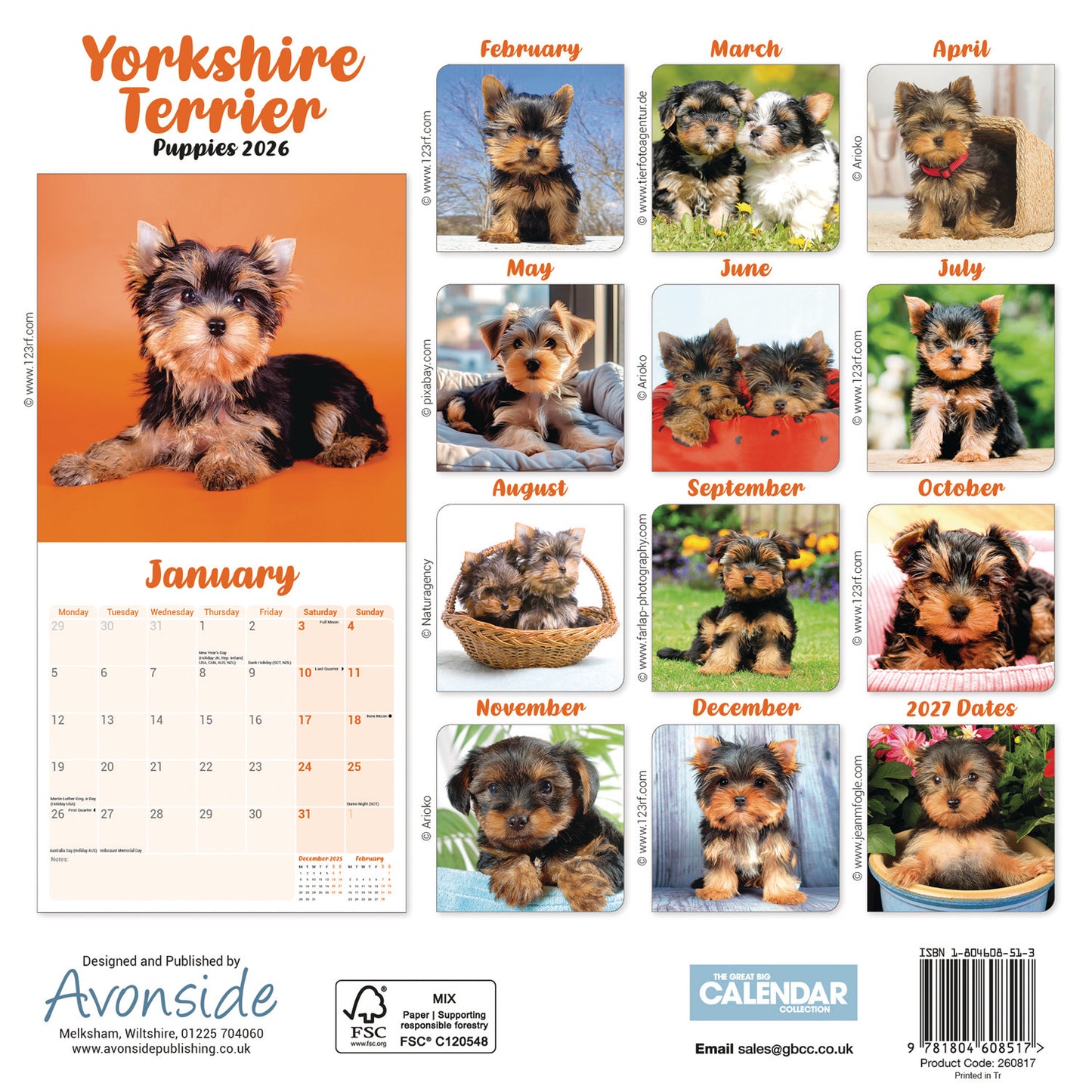 Yorkshire Terrier Puppies Mini Calendar 2026